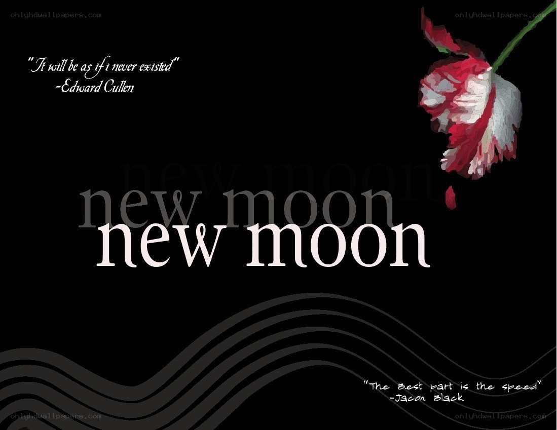 New Moon book cover