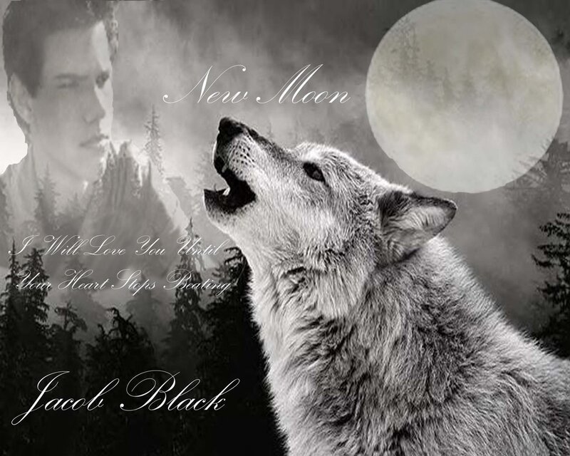 New Moon cover art