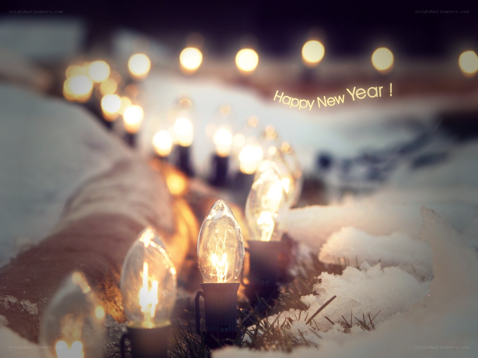 New Year lights in snow