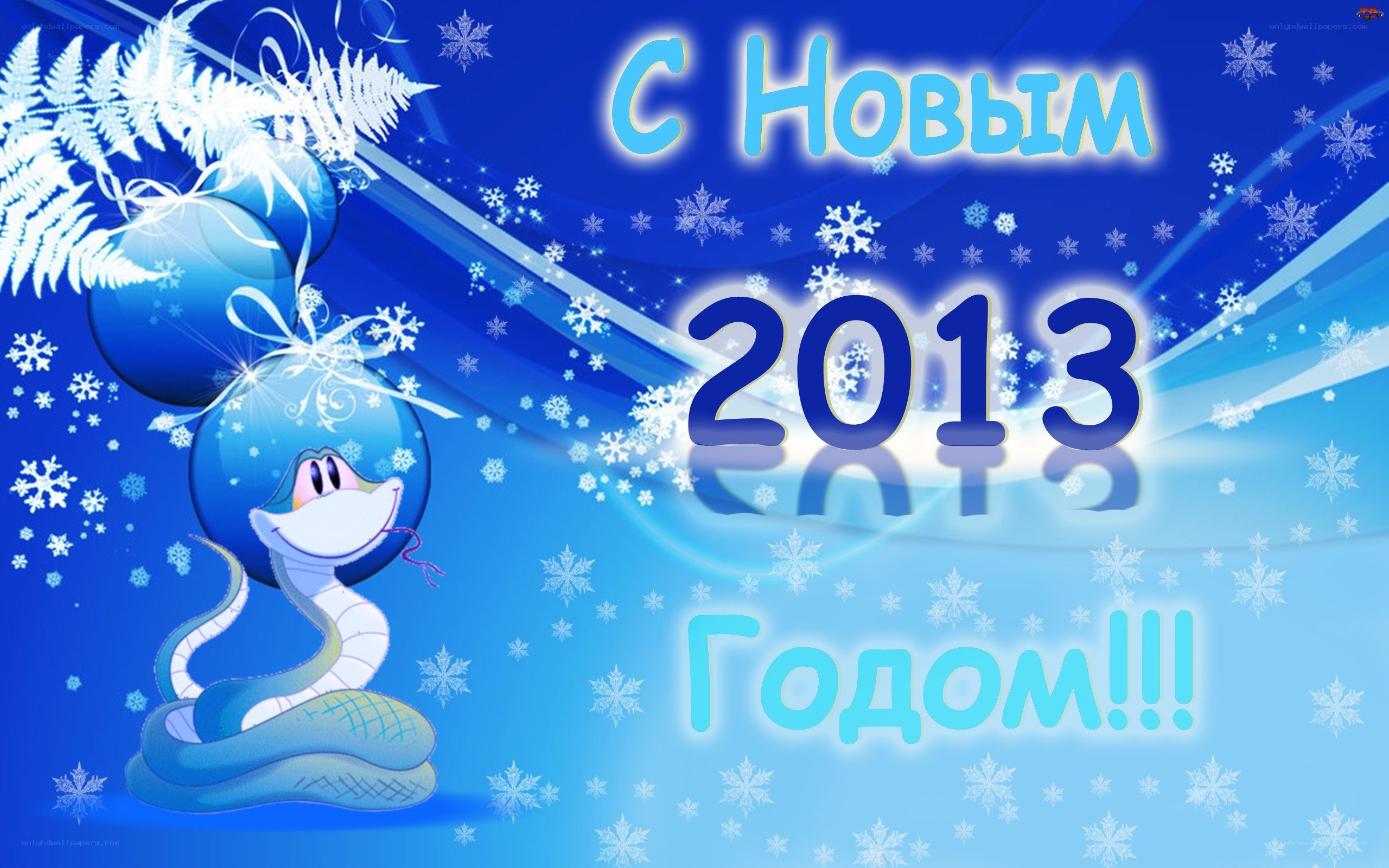 New Year's card with snake