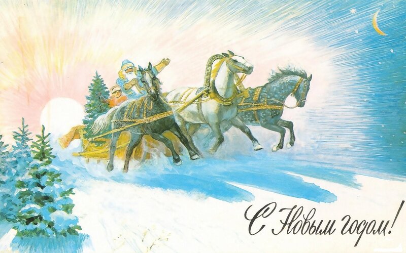 New Year's sleigh ride