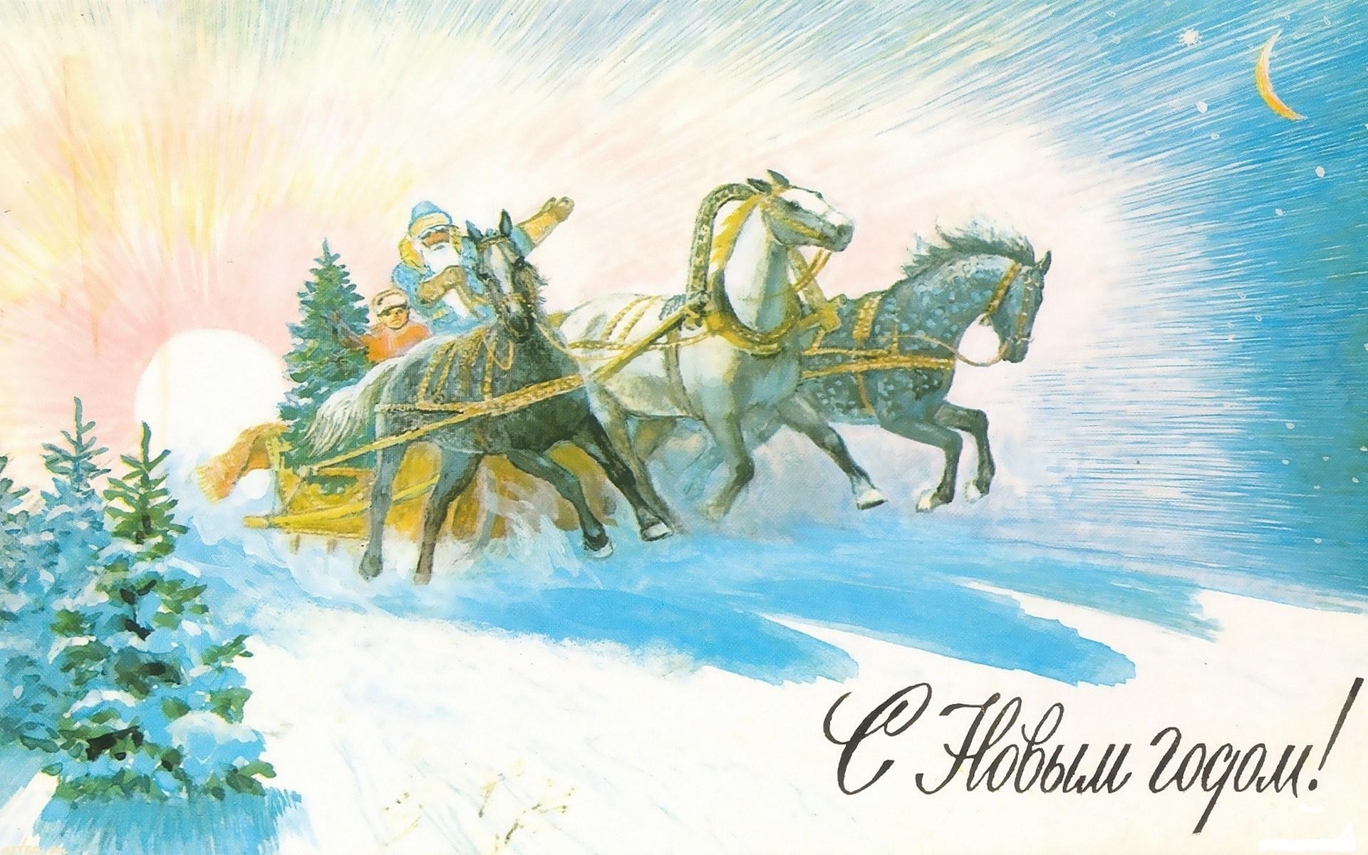 New Year's sleigh ride