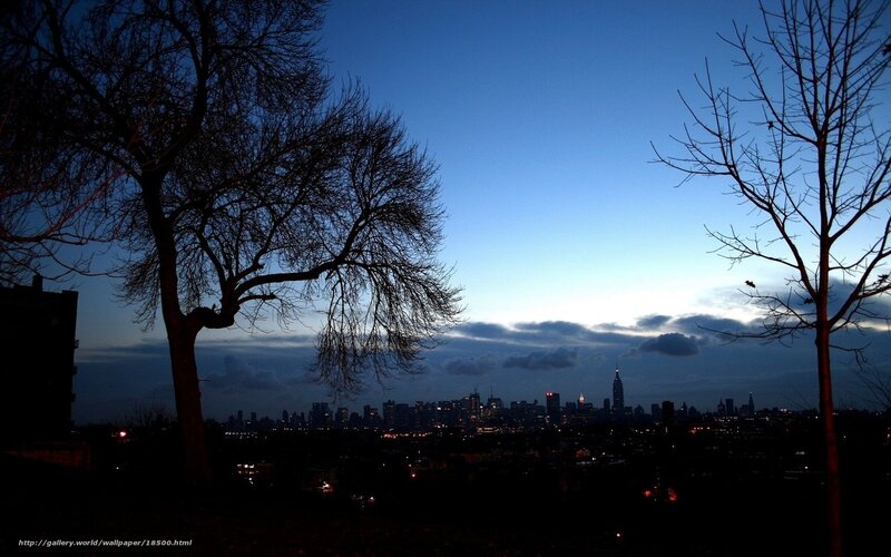 New York City Skyline — Blue, Dramatic, Night, Photograph, Trees