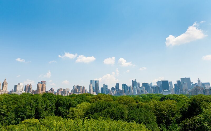New York City Skyline — Blue, Serene, Afternoon, Photograph, Trees