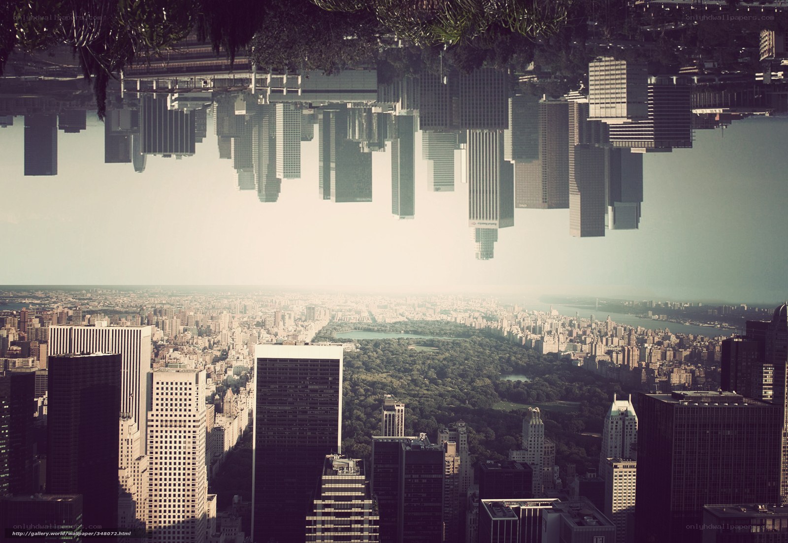 New York City skyline reflection