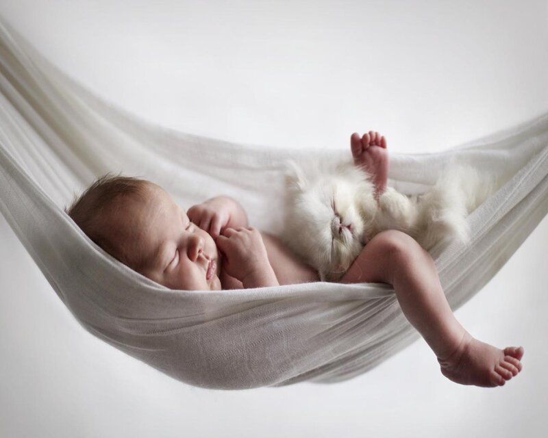 Newborn Baby and Kitten