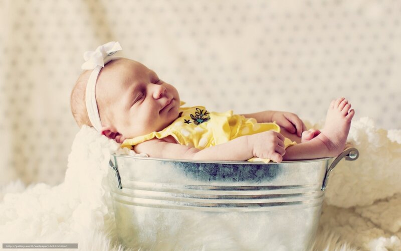 Newborn baby in a bucket