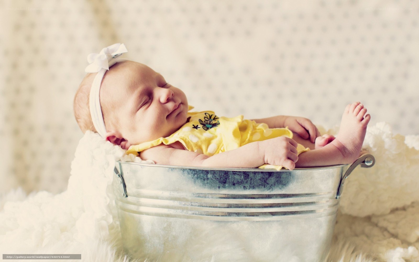 Newborn baby in a bucket