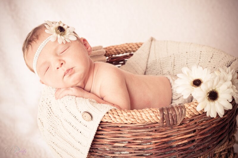 Newborn Baby in Basket — Beige