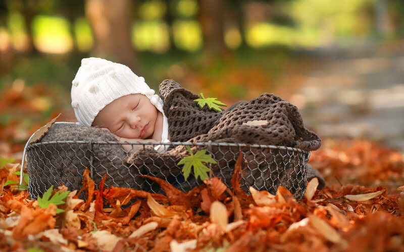 Newborn Baby in Basket — Brown, Serene, Autumn, Photograph