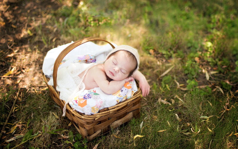 Newborn Baby in Basket — Green, Serene, Afternoon