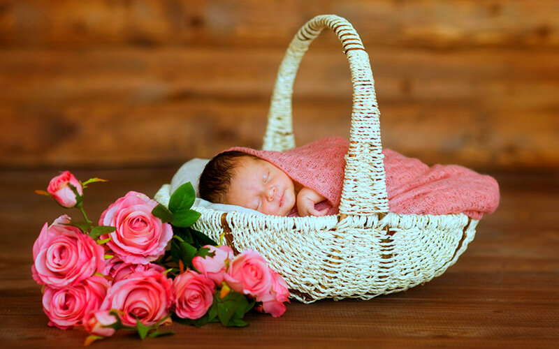 Newborn Baby in Basket — Pink, Serene