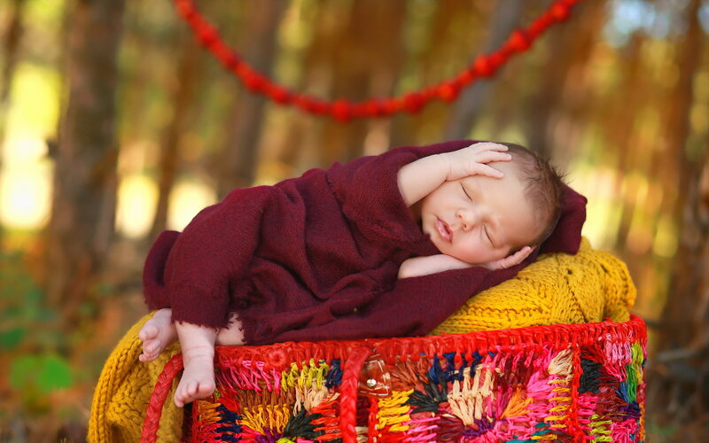 Newborn Baby in Basket — Red, Serene