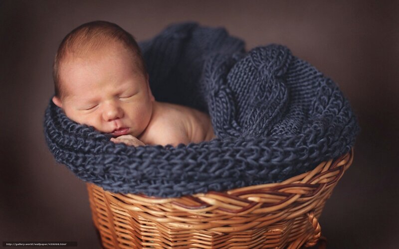 Newborn baby in basket