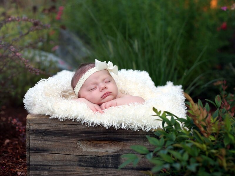 Newborn Baby in Basket — White, Serene, Sunset