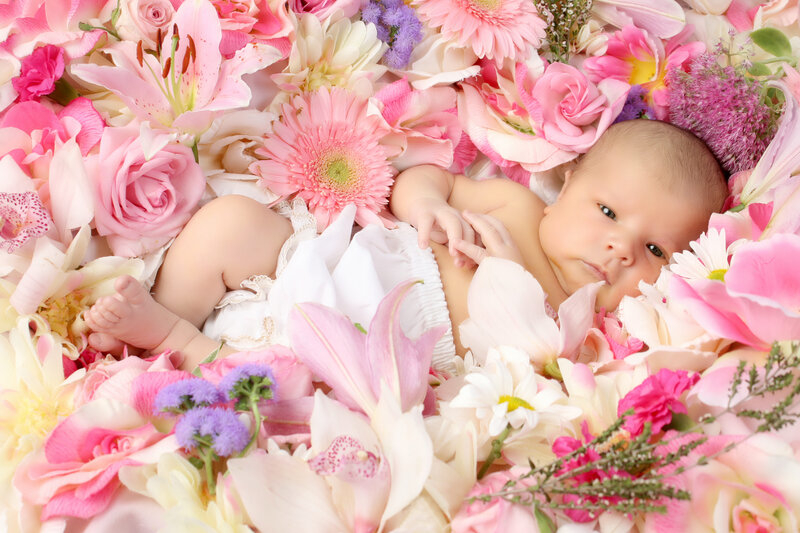 Newborn Baby in Flowers — Pink