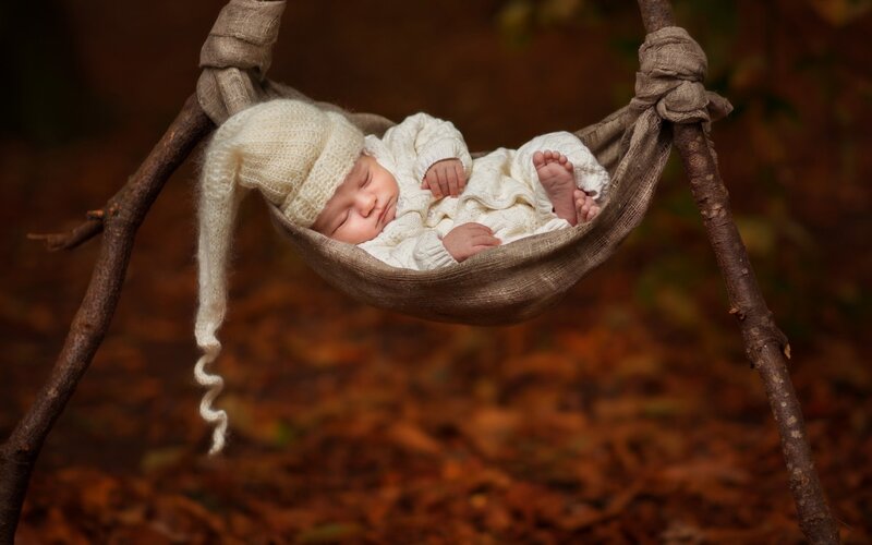 Newborn Baby in Hammock — Brown