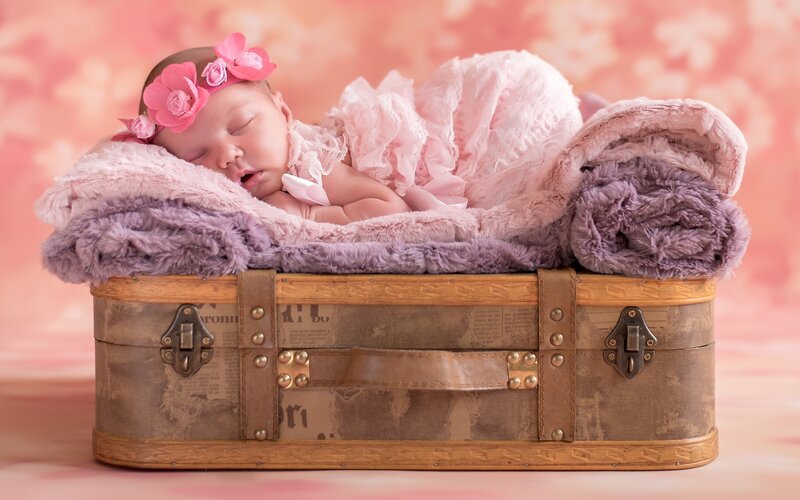 Newborn Baby in Suitcase — Pink, Serene, Photograph