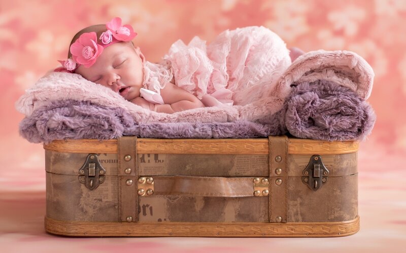 Newborn Baby in Suitcase — Pink, Serene