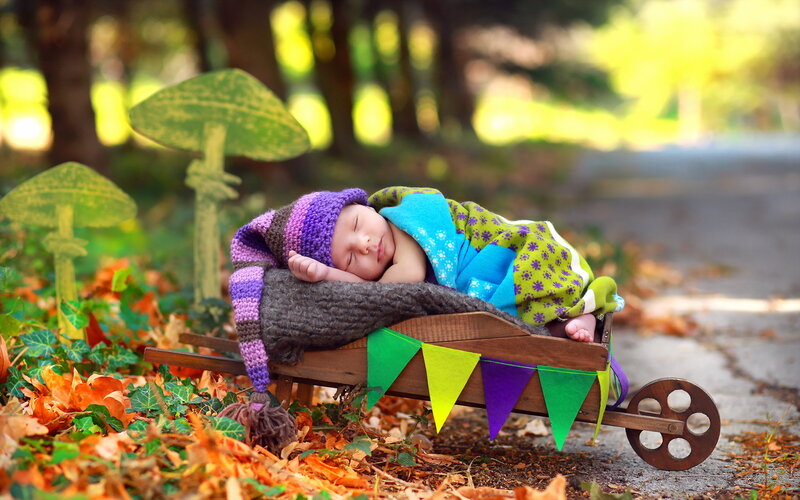 Newborn Baby in Wagon — Green
