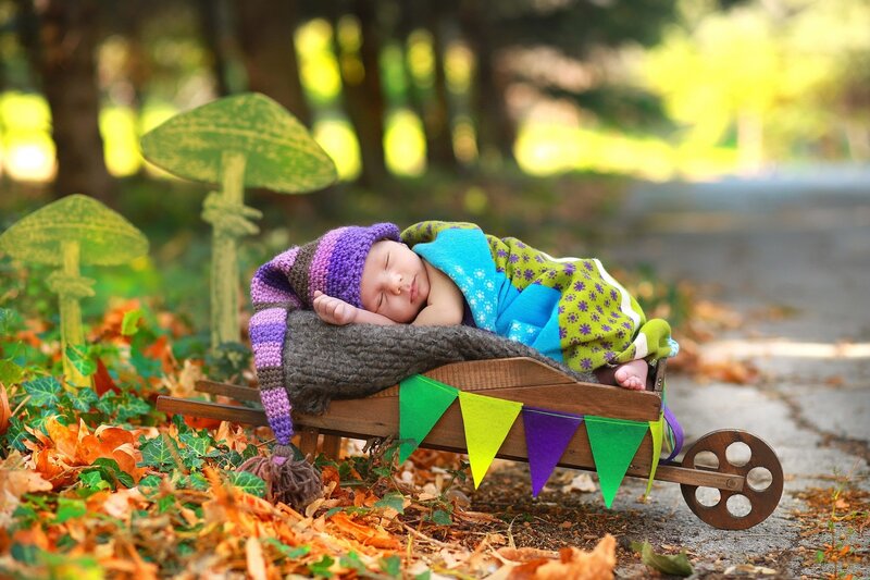 Newborn Baby in Wagon