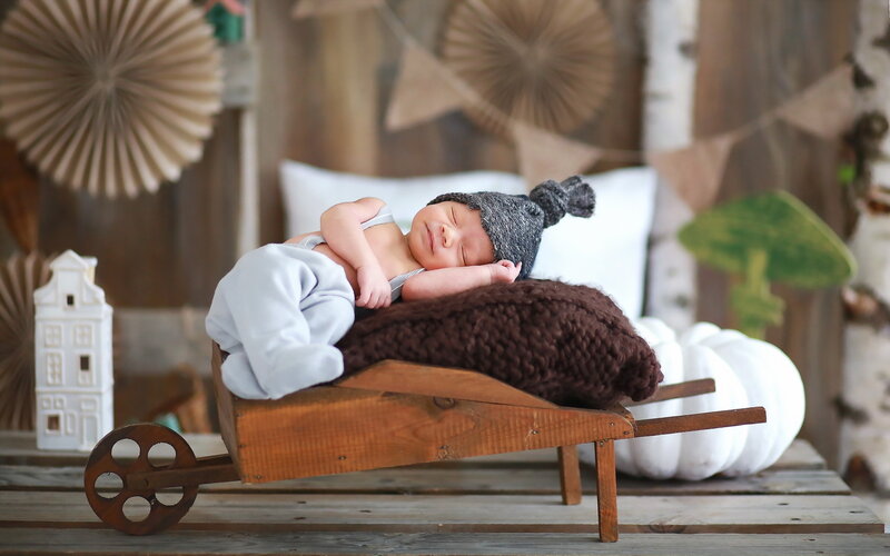 Newborn Baby in Wheelbarrow — Brown