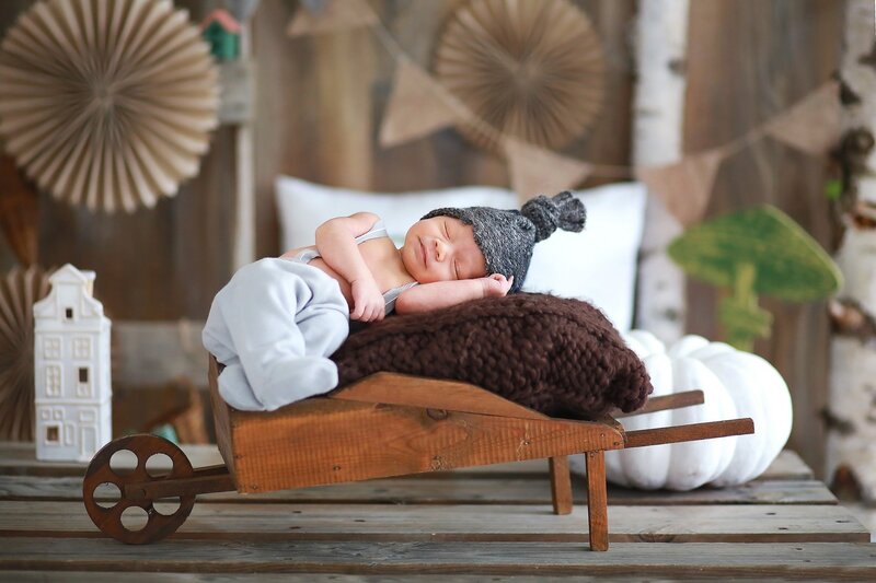 Newborn Baby in Wheelbarrow