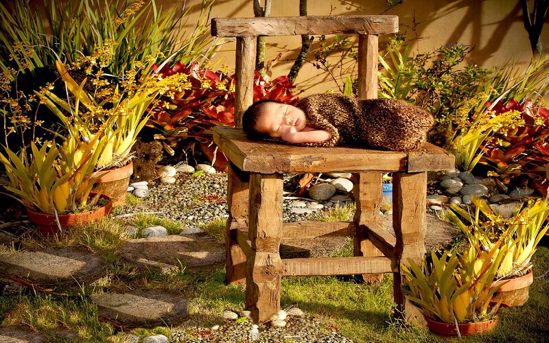 Newborn Baby Sleeping — Brown, Serene, Afternoon