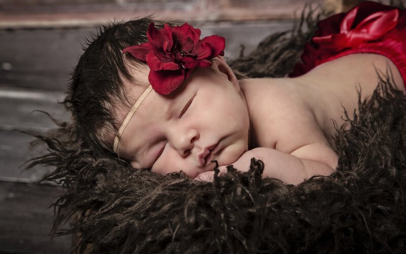 Newborn Baby Sleeping — Brown, Serene, Photograph, Red Flower