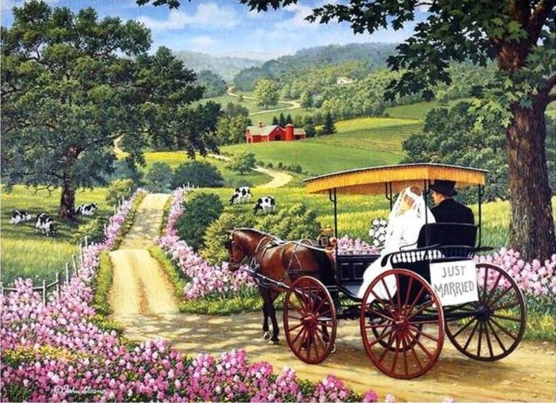 Newlyweds in Carriage