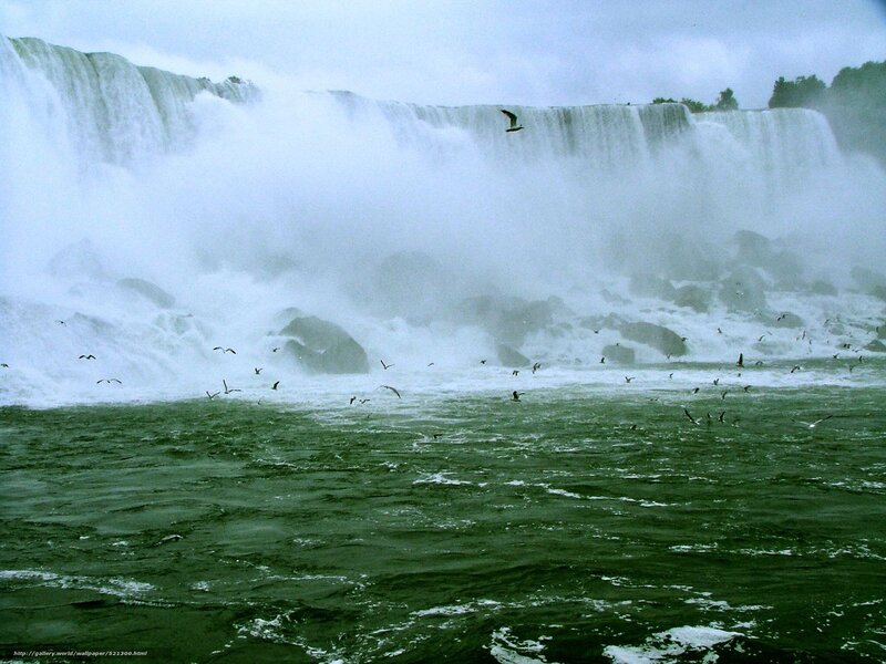 Niagara Falls with birds