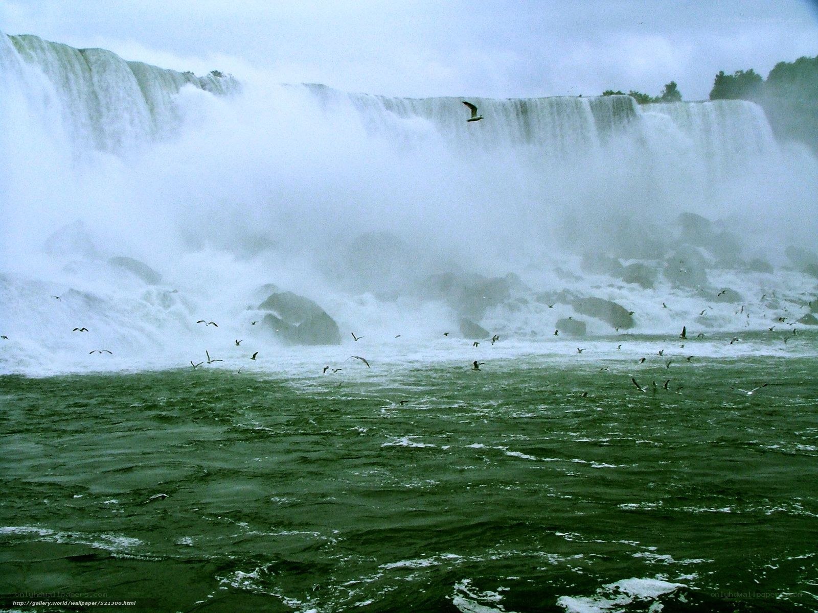 Niagara Falls with birds