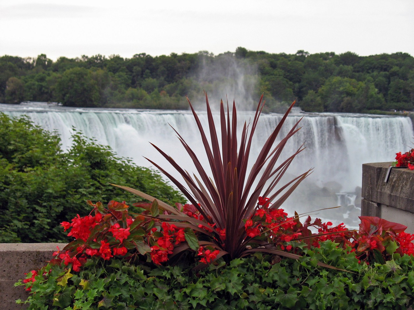 Niagara Falls with flowers