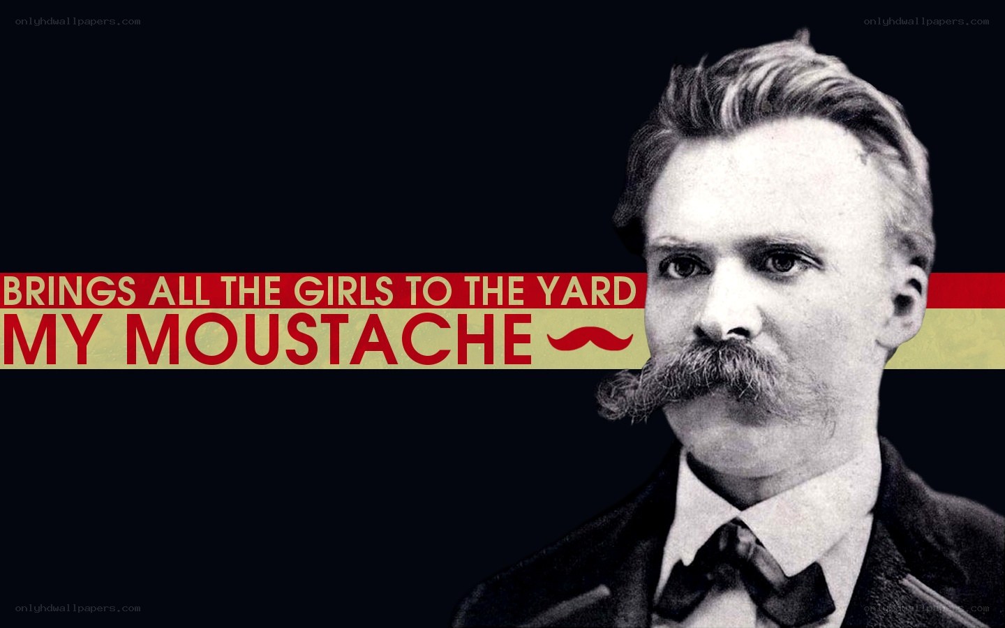 Nietzsche Moustache Humor