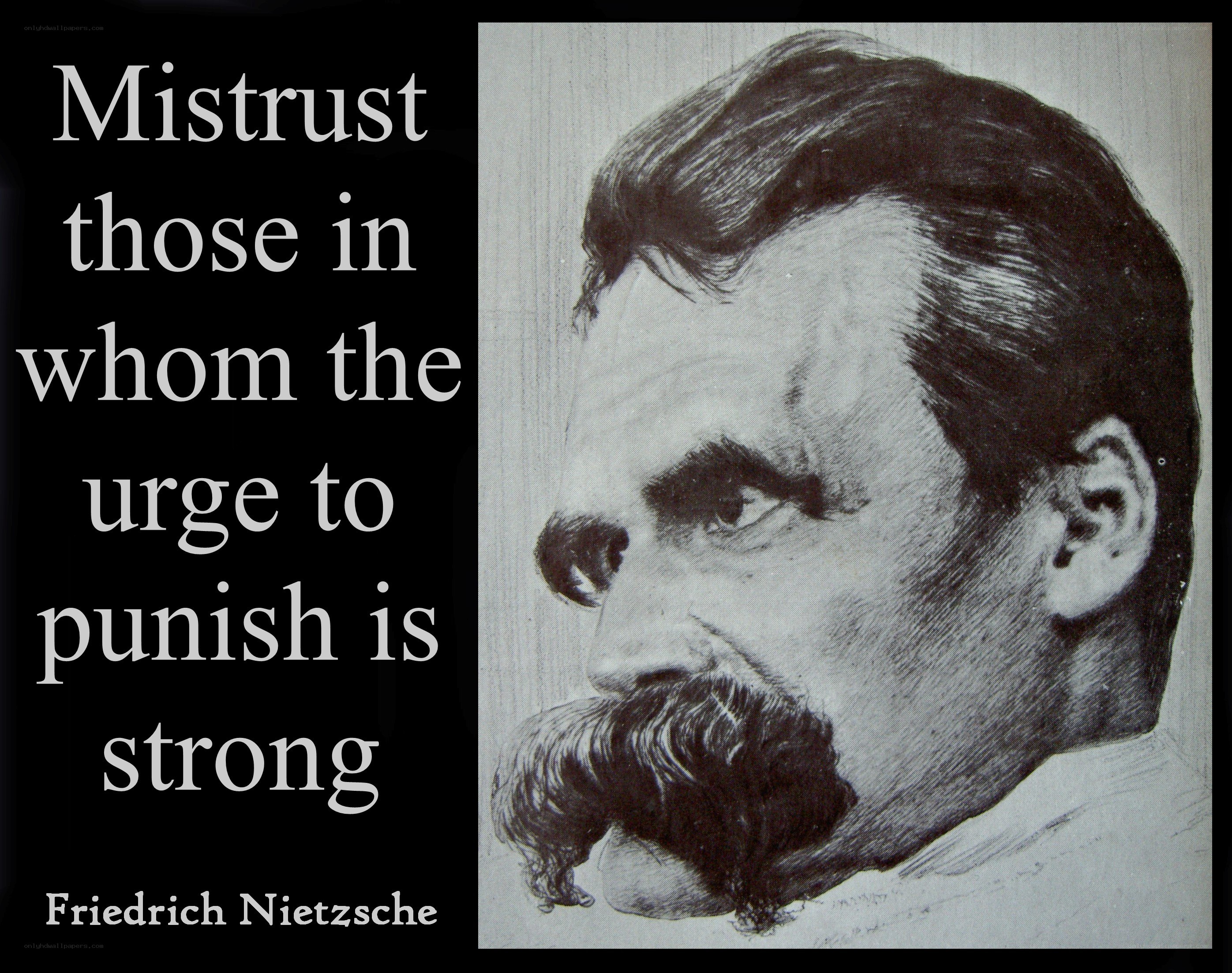 Nietzsche quote image