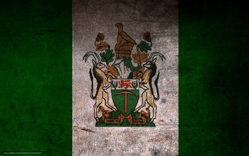 Nigeria flag with coat of arms