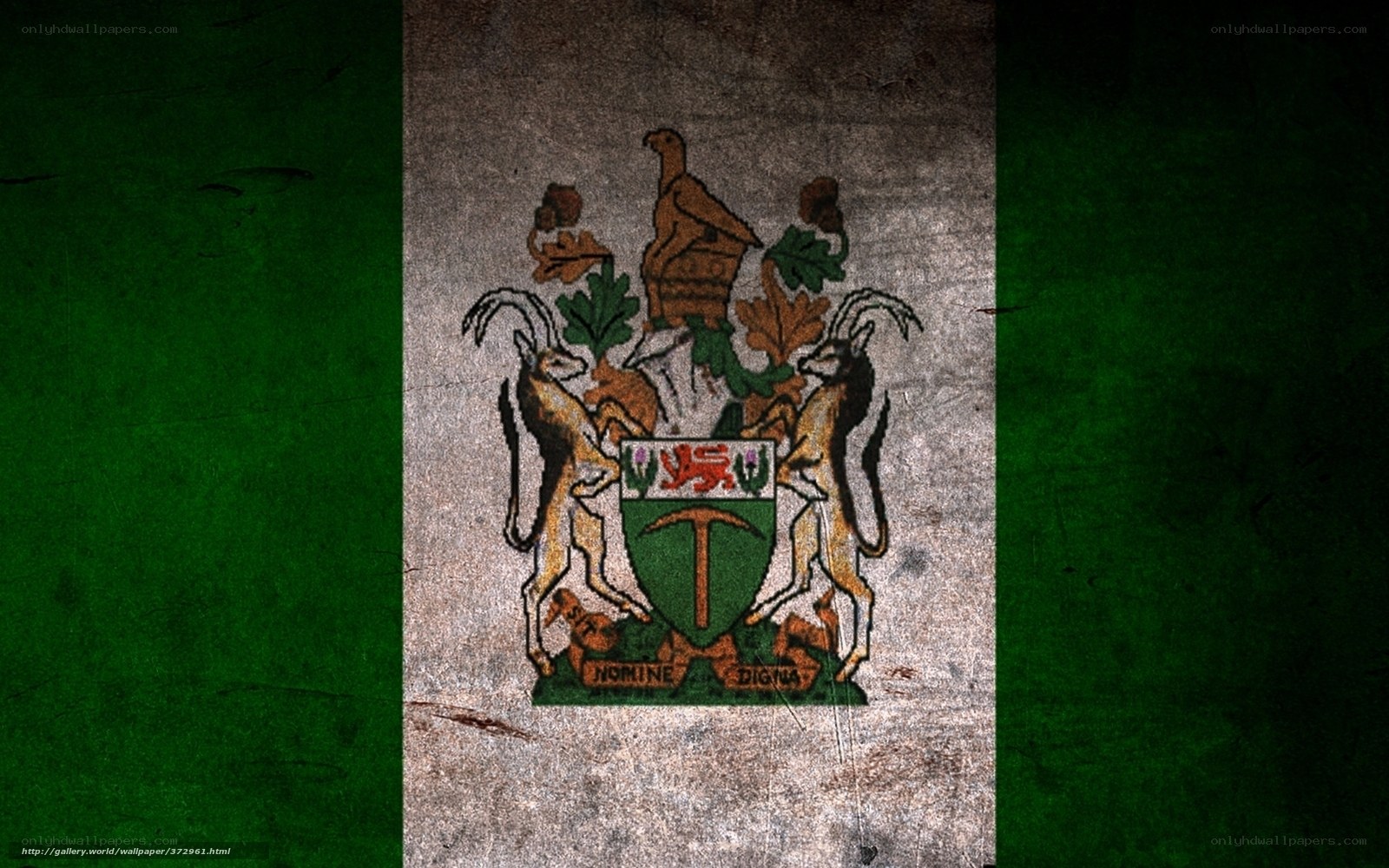 Nigeria flag with coat of arms