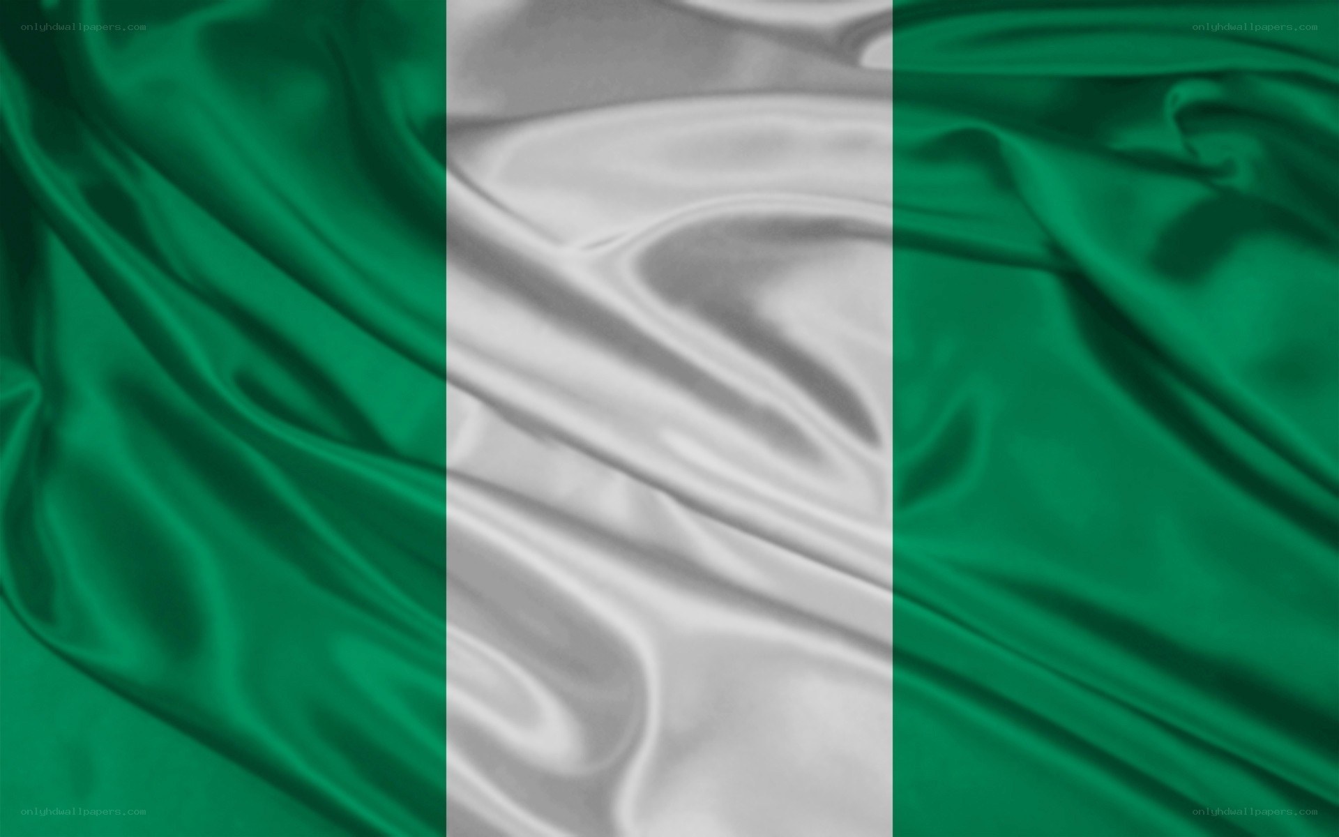 Nigerian flag fabric