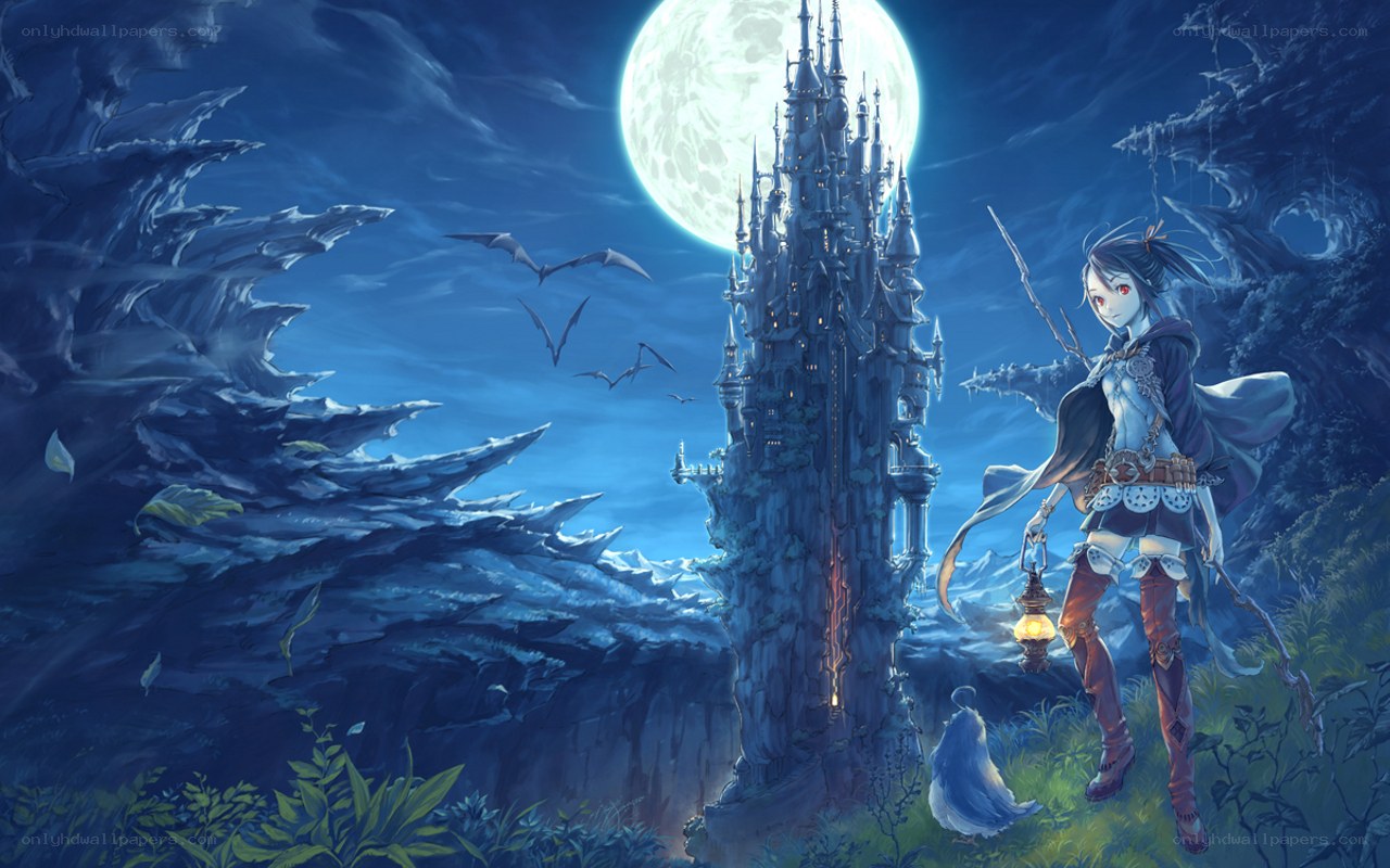 Night at the castle