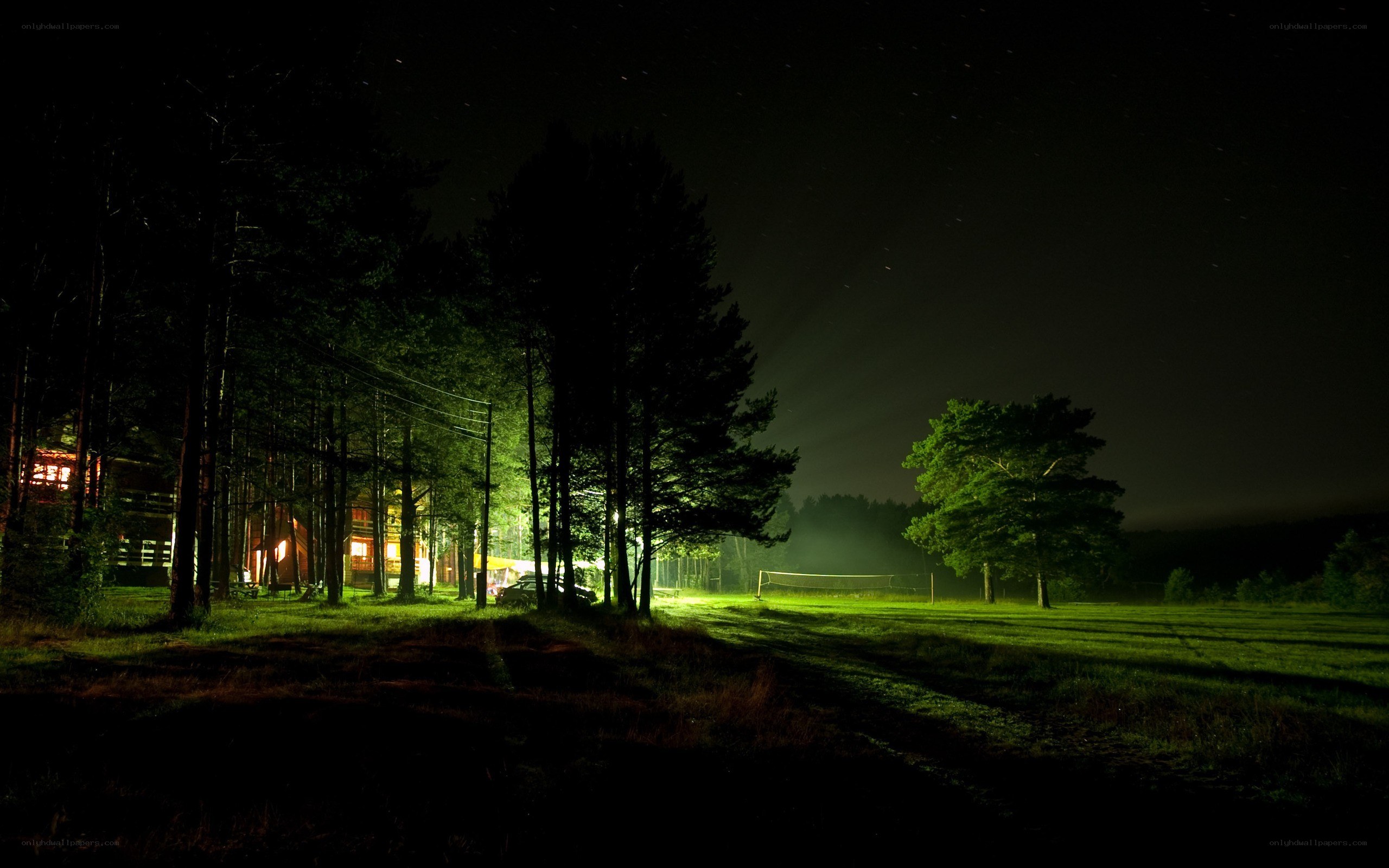 Night at the forest cabin