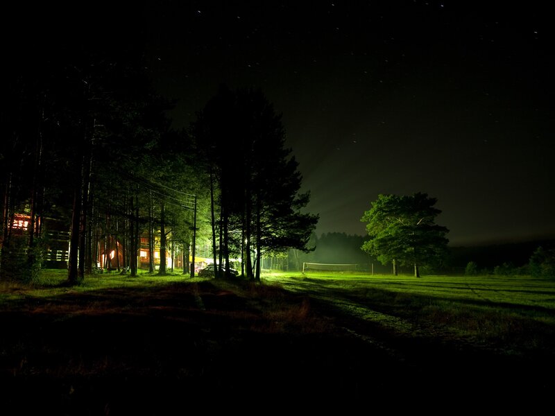 Night at the forest camp