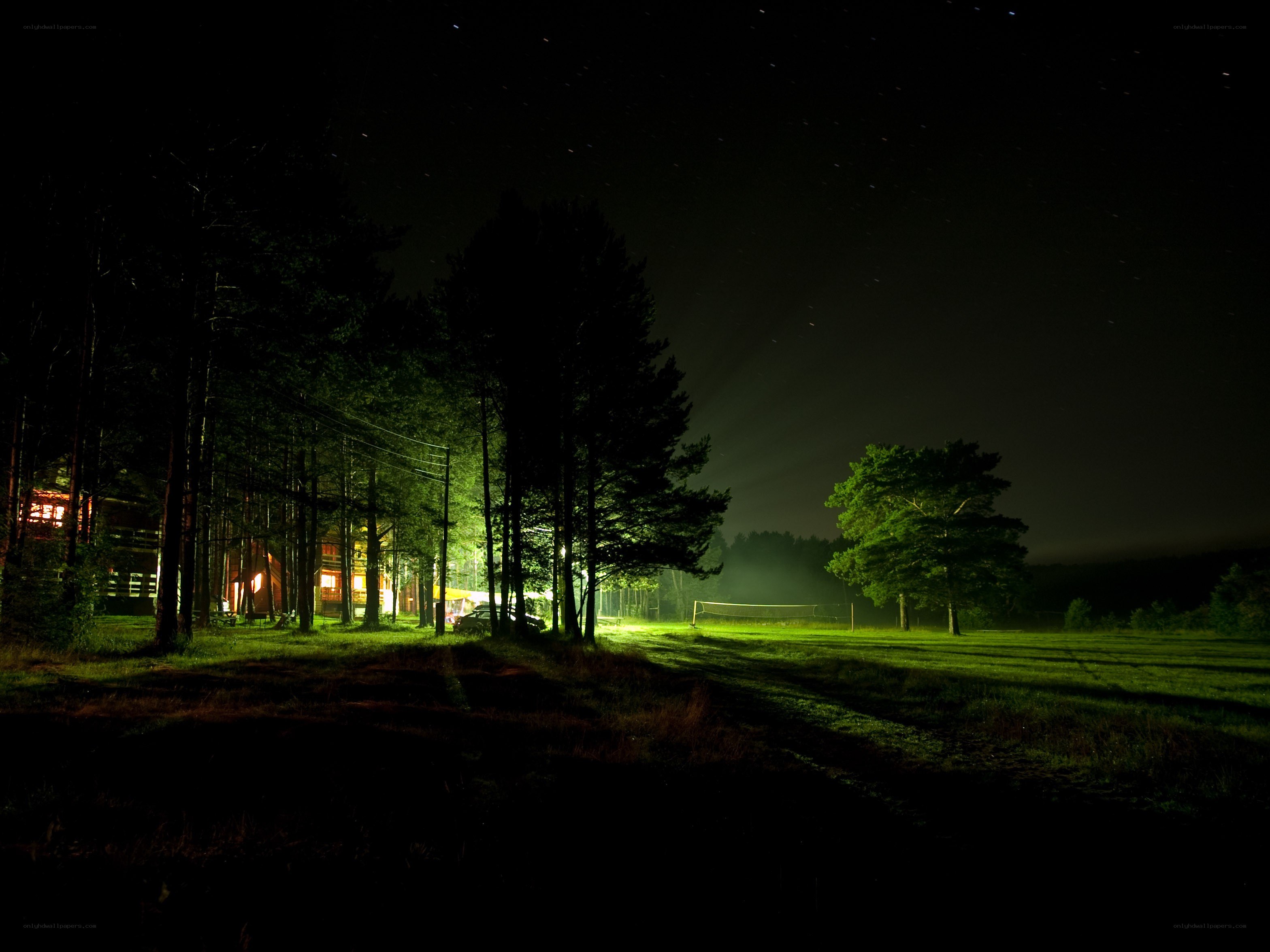 Night at the forest camp