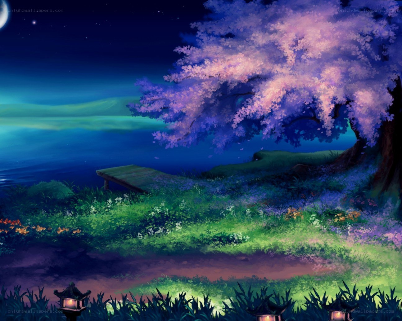 Night by the cherry blossom tree