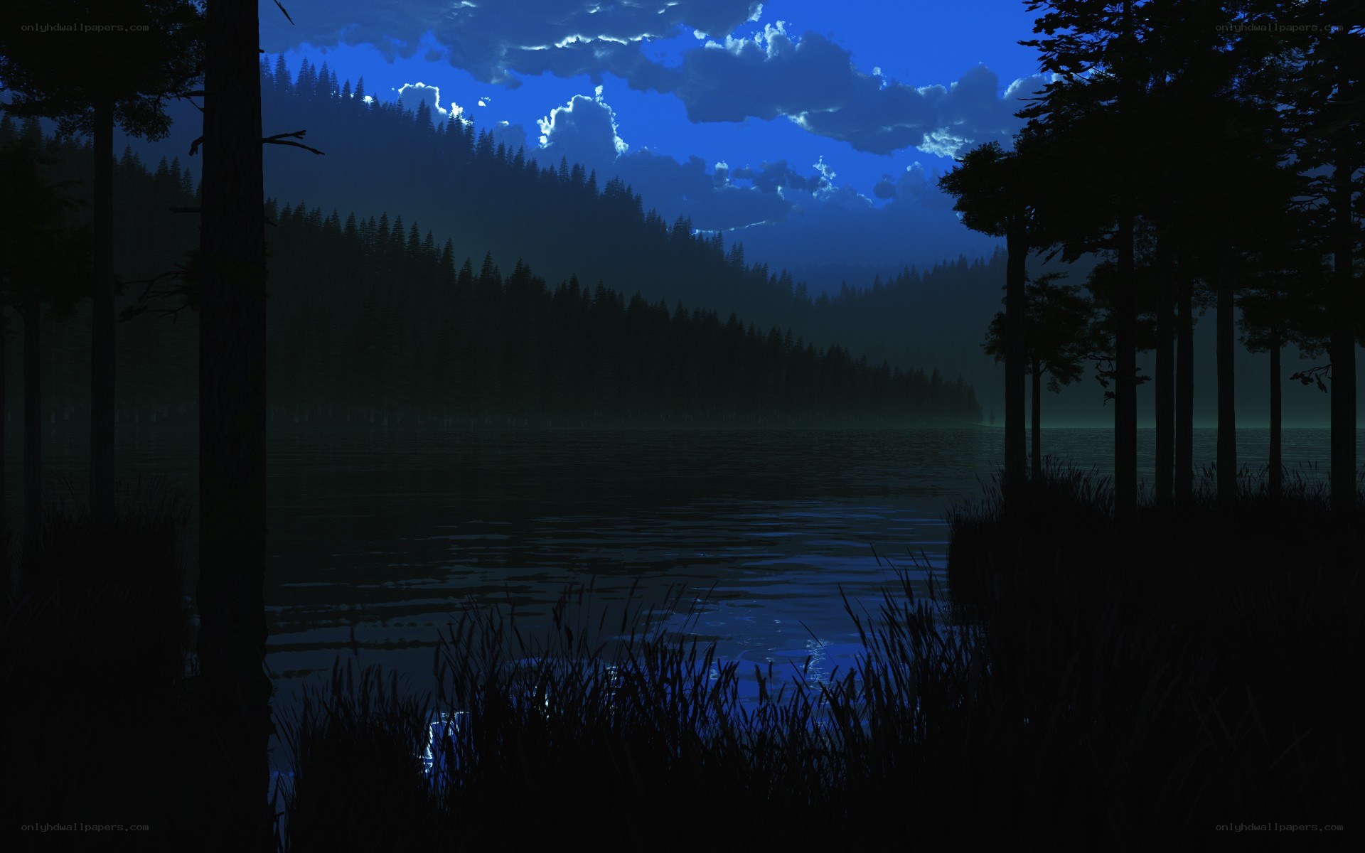 Night by the forest lake