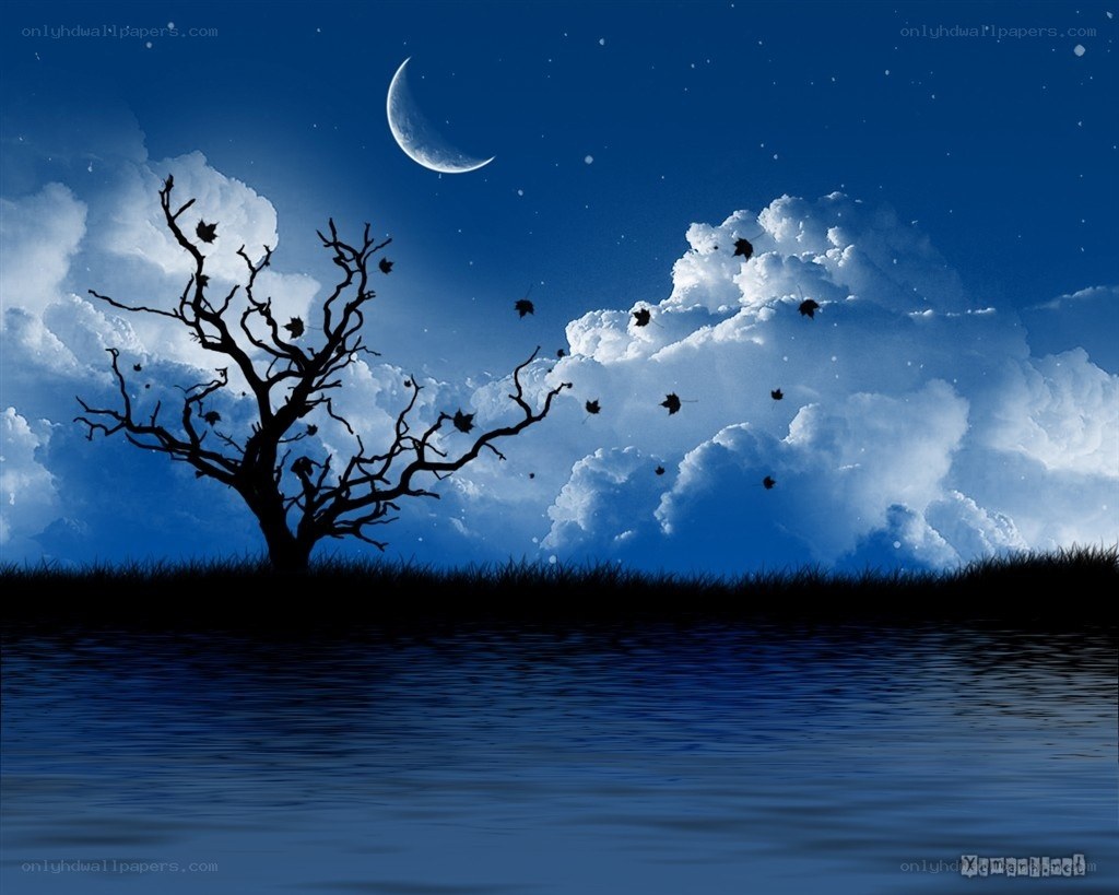 Night by the lake