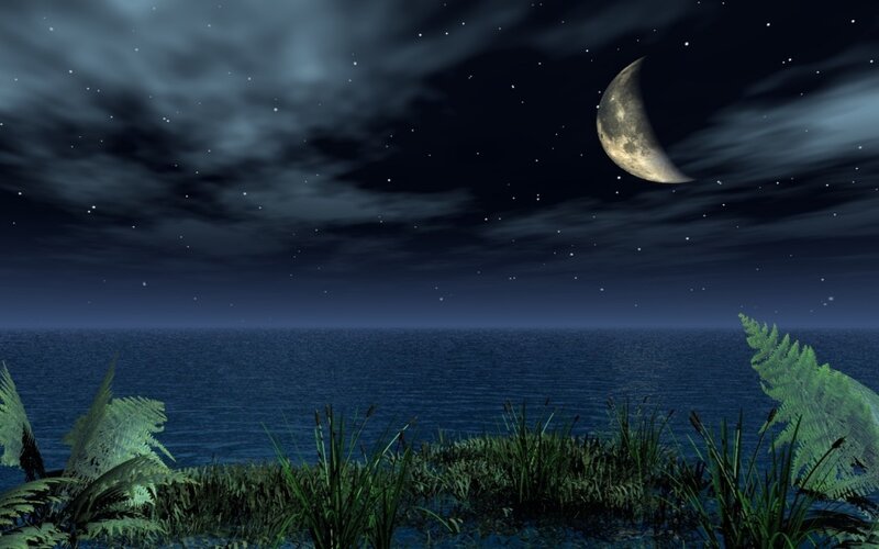 Night by the sea with crescent moon