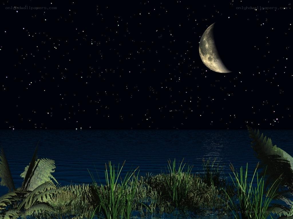 Night by the water