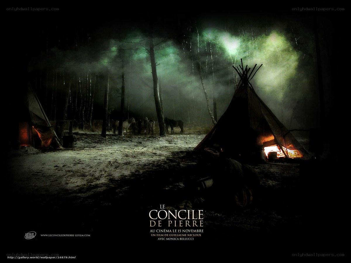 night camp in the forest