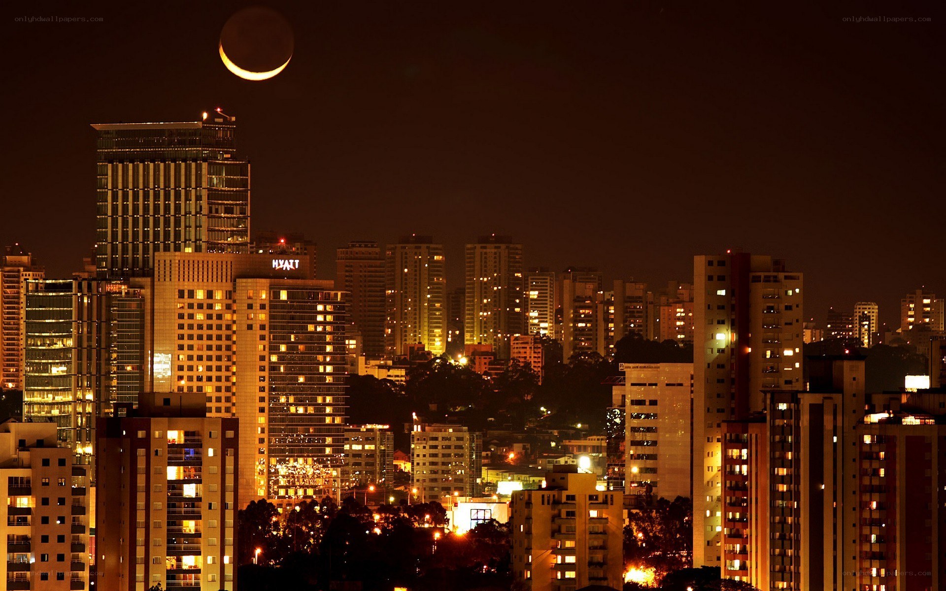 Night city with crescent moon