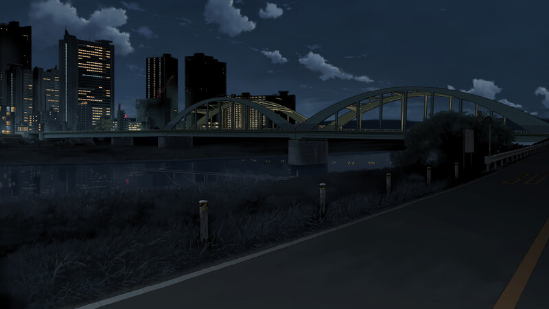 Night cityscape with bridge